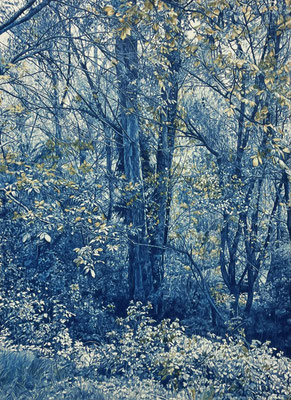 "Azul Prusia Y Ocre". 107 x 78 cm./ 125,5 x 96,5 cm framed. Color pencils on paper glued to aluminium dibond.Sold, private collection.