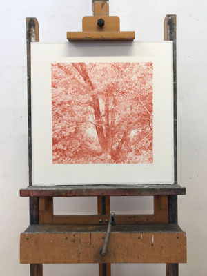 Venetian Red. Colour pencil on paper glued to aluminium dibond. 44 x 44 cm. Sold.Private collection.