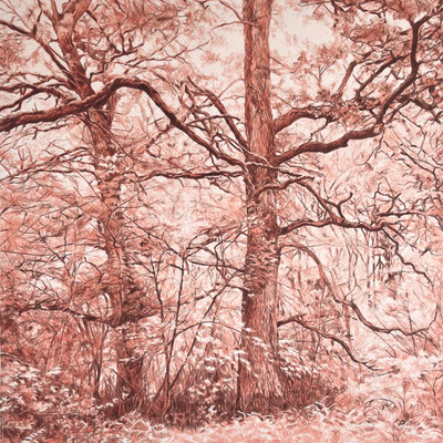 "Salmon and Brown". 50 x 50 cm. / 65,7 x 65,7 cm framed. Color pencils on paper glued to aluminium dibond. Sold, private collection.