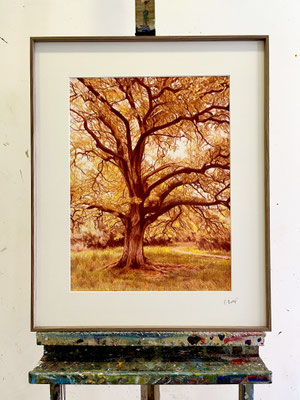 "Amarillo y Sanguina 2".  46 x 34,5 cm / 61,5 x 50 cm cm framed. Color pencils on paper glued to aluminium dibond. Sold, private collection.