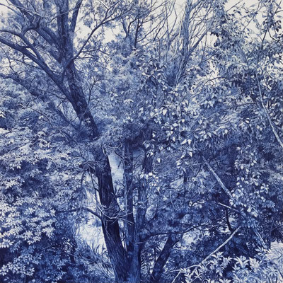"Azul Indantreno" 60 x 60 cm. Colored pencil on paper glued to aluminium dibond. Sold. Private collection.