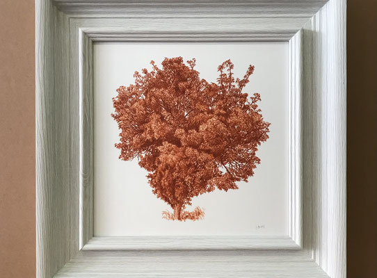 "Arbol en Sanguina Natural". 48 x 48 cm. framed. Colored pencil on paper glued to aluminium dibond and wood frame. Private collection. Sold.