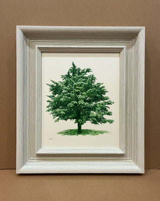 "Árbol en Verde Pino". 51 x 44,5 cm. framed. Colored pencil on paper glued to aluminium dibond and wood frame. Sold, private collection.