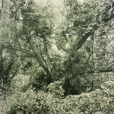 "Verde Ftalo Oscuro II", 100 x 100 cm./ 118,5 x 118,5 cm framed. Color pencil on paper glued to aluminium dibond.