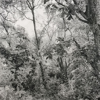 Lápiz#4. Black pencil on paper glued to aluminium dibond. 50 x 50 cm. Sold. Private collection.