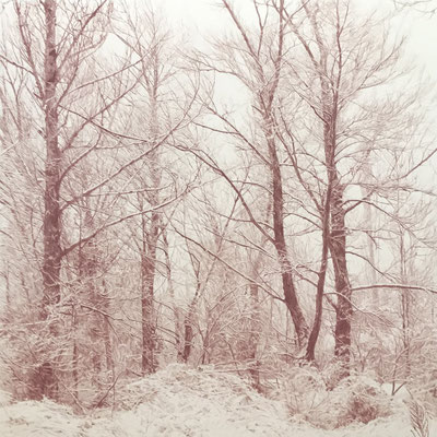 "Nieve Rosa" 100 x 100 cm. Colored pencil on paper glued to aluminium dibond.