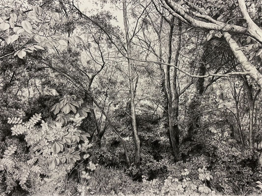 “Lápiz #14”. 80 x 60 cm./ 95,6 x 75,7 cm. framed.Color  pencil on papel glued to aluminium dibond. Sold, private collection.