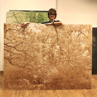 "Brown Ochre, Diptych". 200 x 150 cm. Colored pencils on paper glued to aluminum dibond. 