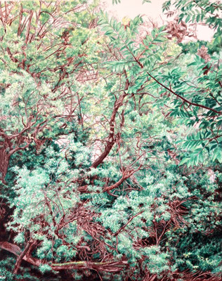 "Carmín y Esmeralda"  40 x 32 cm. sin marco. 55 x 47 cm framed. Colored pencils on paper glued to aluminium dibond. Sold, private collection.