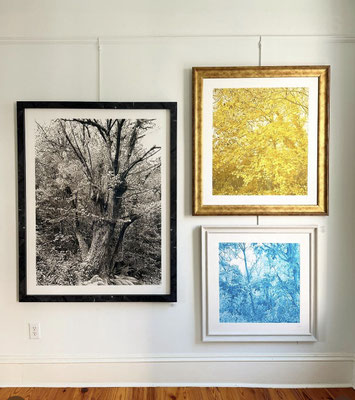 Meyer Vogl Gallery, Charleston, SC, USA.