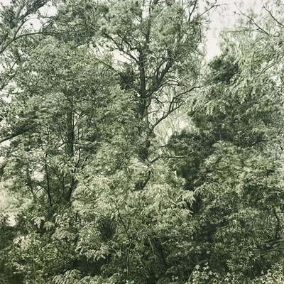 "Verde Ftalo Oscuro" 100 x 100 cm. Colored pencil on paper glued to aluminium dibond. Sold. Private collection.