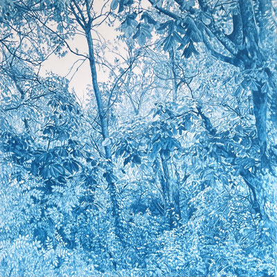 "Ice Blue". 60 x 60 cm./ 86 x 86 cm. framed. Colored pencil on paper glued to aluminum dibond.