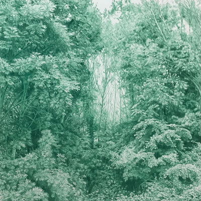 "Hooker’s Green".  76 x 76 cm./ 91,3 x 91,3 cm framed. Color pencil on paper glued to aluminium dibond