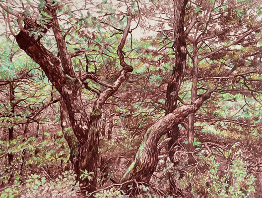 "Green and Sienna". 33 x 25 cm. / 49 x 41 cm. framed. Colored pencils on paper glued to aluminium dibond. Sold, private collection.