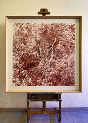 "Laca Carmín". 100 x 100 cm/ 118’5 x 118,5 cm framed. Color pencil on paper glued to aluminium dibond.Sold, private collection.