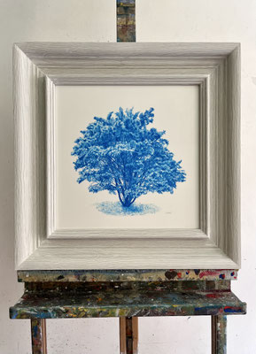 "Árbol en Azul De Ftalo". 32 x 32 cm / 48 x 48 cm. framed. Color pencil on paper glued to aluminium dibond. Sold, private collection.