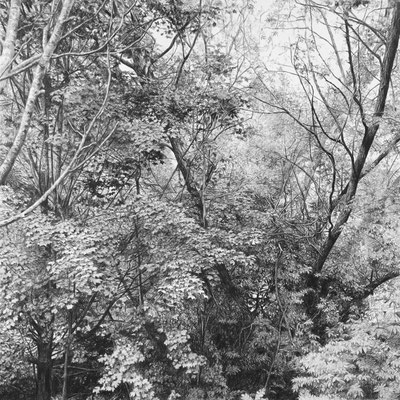 Lápiz#5. Black Pencil on paper.  80 x 80 cm. Sold.Private collection.