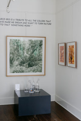 ARCO IRIS at Meyer Vogl Gallery