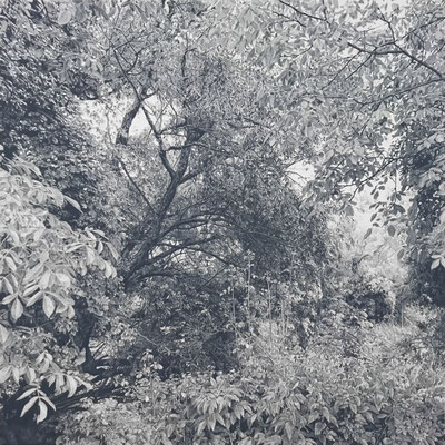 "Gris de Payne". Colour pencils on paper glued to aluminium dibond. 100 x 100 cm. Sold. Private collection.