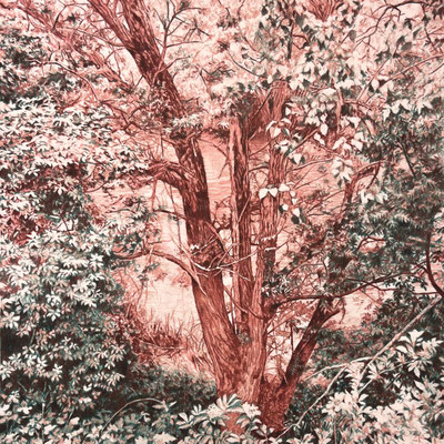 "Siena, Rosa, Verde". 30 x 30 cm./ 45,4 x 45,4 cm framed. Colored pencils on paper glued to aluminium dibond. Sold, private collection.