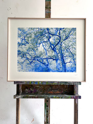 “Azul Cobalto y Verde”. 50 x 38 cm / 65,5 x 53,5 cm framed. Color pencils on paper glued to aluminium dibond