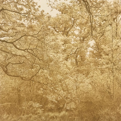 "Ocre Vert" 70 x 70 cm. Colour pencil on paper glued to aluminium dibond. Sold. Private collection.