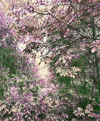 “Purple, Yellow, Green”.48 x 40 cm. / 63 x 55 cm. framed. Colored pencils on paper glued to aluminium dibond. Sold, private collection.