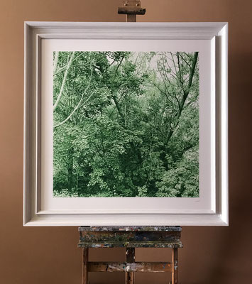 "Pine Green". 80 x 80 cm./ 110 x 110 cm. framed. Colored pencil on paper glued to aluminium dibond.
