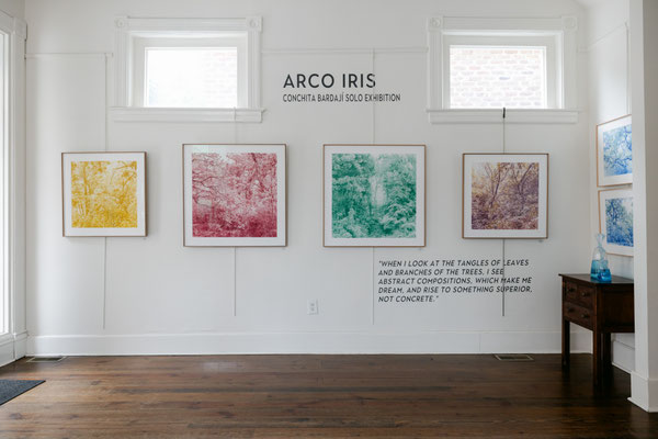 ARCO IRIS at Meyer Vogl Gallery