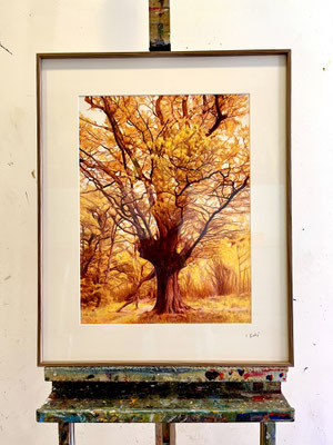 "Amarillo y Sanguina 1".  46 x 34,5 cm / 61,5 x 50 framed. Color pencils on paper glued to aluminium dibond.