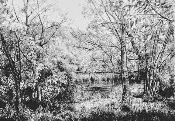  "The River Bank" Black Pencil on paper. 21 x 14 cm. Sold. Private collection.