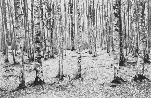  Black Pencil on paper. 80 x 53 cm. Private collection.