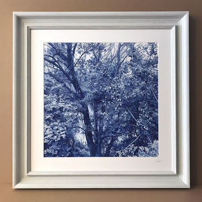 "Azul Indantreno" 60 x 60 cm. 90 x 90 cm. framed.  Colored pencil on paper glued to aluminium dibond. Private collection.