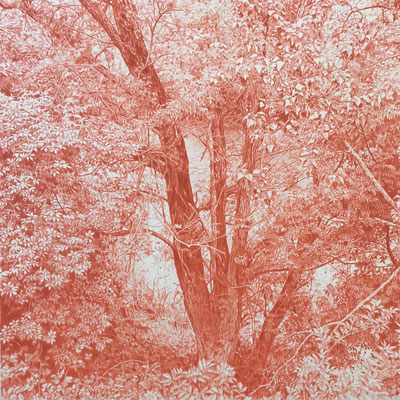 Venetian Red. Colour pencil on paper glued to aluminium dibond. 44 x 44 cm. Private collection.