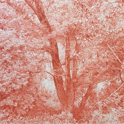 Venetian Red. Colour pencil on paper glued to aluminium dibond. 44 x 44 cm. Sold.Private collection.