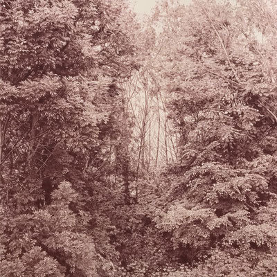 Caput mortuum violet. Colour pencil on paper glued to aluminium dibond. 120 x 120 cm. Sold. Private collection.