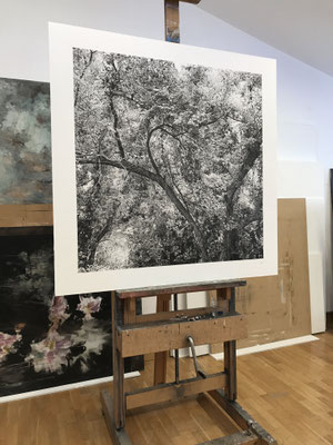 "Lápiz#9". Black pencil on paper glued to aluminium dibond. 100 x 100 cm. Sold. Private collection.