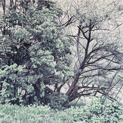 "Dark Indigo and Green" .30 x 30 cm./ 45,4 x 45,4 cm framed. Colored pencils on paper glued to aluminium dibond. Sold, private collection