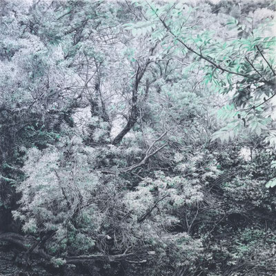 "Payne and Phthalo". Colour pencils on paper glued to aluminium dibond. 120 x 120 cm. Sold. Private collection.