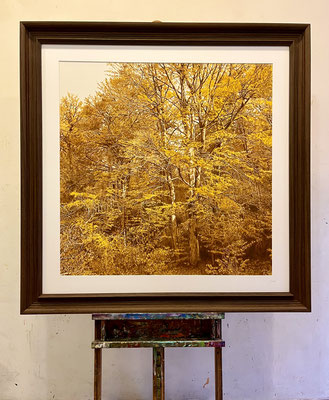"Ochre, Umber, Yellow". 90 x 90 cm./ 120 x 120 cm. framed.Colored pencils on paper glued to aluminum dibond.