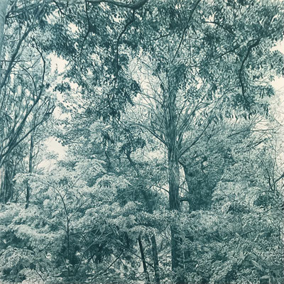 "Deep Cobalt Green II" 55 x 55 cm. Colored pencils on paper glued to aluminium dibond. Sold. Private collection.