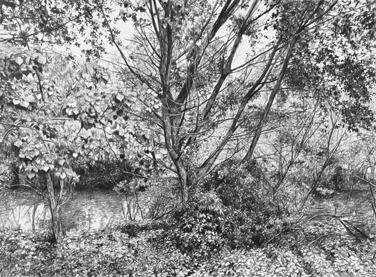 Black Pencil on paper. 30 x 22 cm. Sold. Private collection.