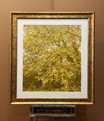 “Green and Yellow”. 80 x 70 cm./ 110 x 100 cm. framed. Colored pencils on paper glued to aluminum dibond. Sold, private collection.