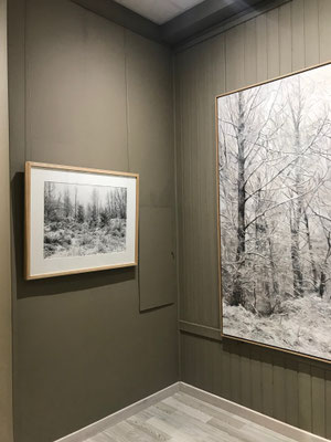 El Estudio de Biescas, Huesca, Spain.