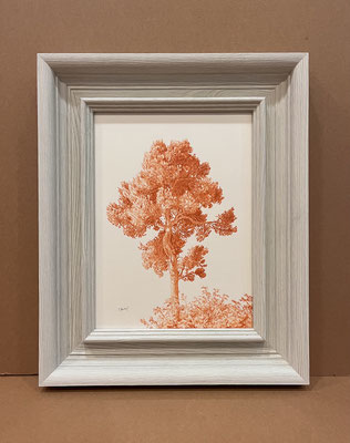 "Árbol en Sanguina". 51 x 41,5 cm con Marco. Colored pencil on paper glued to aluminium dibond and wood frame.
