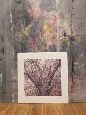 "Aubergine" 50 x 50 cm. Colored pencils on paper glued to aluminium dibond. Sold. Private collection.