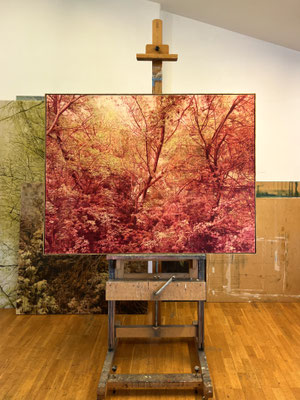 “Oliva y Carmín de Granza O/L”. Oil on linen. 144 x 110 cm framed. 