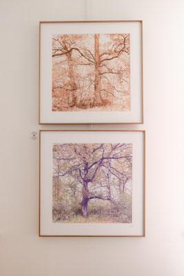 ARCO IRIS at Meyer Vogl Gallery