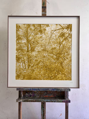 "Green Ochre II". 60 x 60 cm./ 75,5x 75,5 cm. framed. Color pencil on paper glued to aluminium dibond.