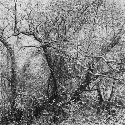 Lápiz#2. Black pencil on paper glued to aluminium dibond. 100 x 100 cm. Sold. Private collection.